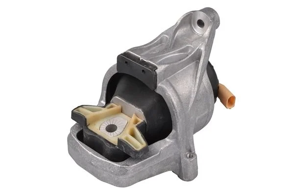 Variklio montavimas TEDGUM PSA TED15645