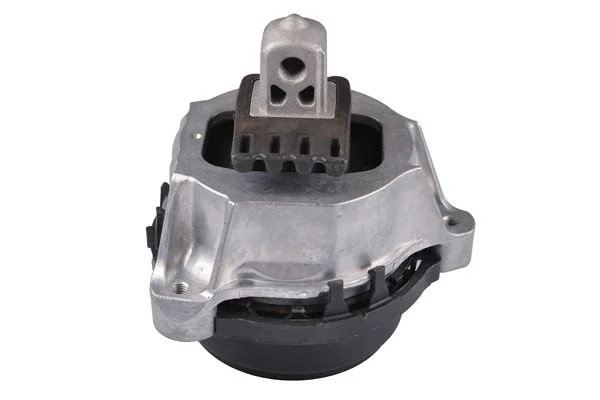 Variklio montavimas TEDGUM PSA TED23794