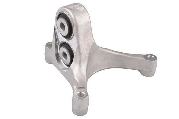 Variklio montavimas TEDGUM PSA TED24161