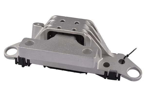 Variklio montavimas TEDGUM TED24415