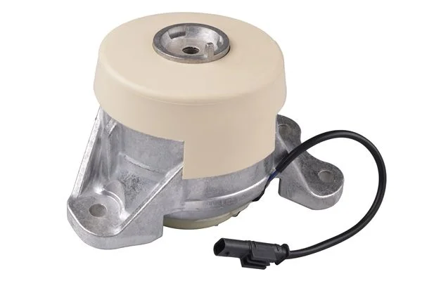 Variklio montavimas TEDGUM TED24521