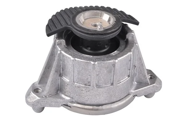 Variklio montavimas TEDGUM TED25756