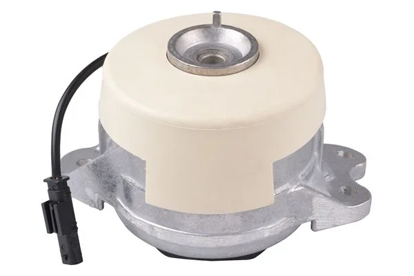 Variklio montavimas TEDGUM PSA TED27536