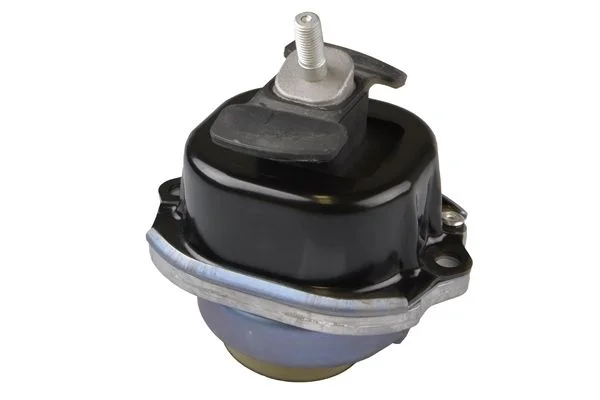 Variklio montavimas TEDGUM PSA TED30691