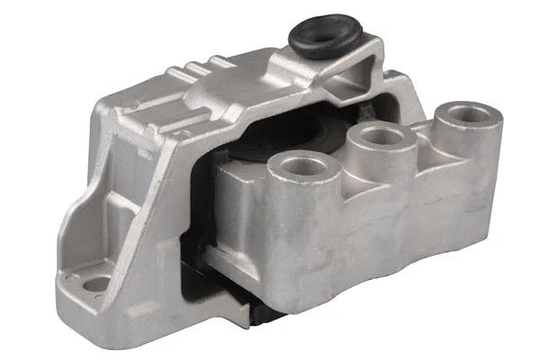Variklio montavimas TEDGUM TED33428