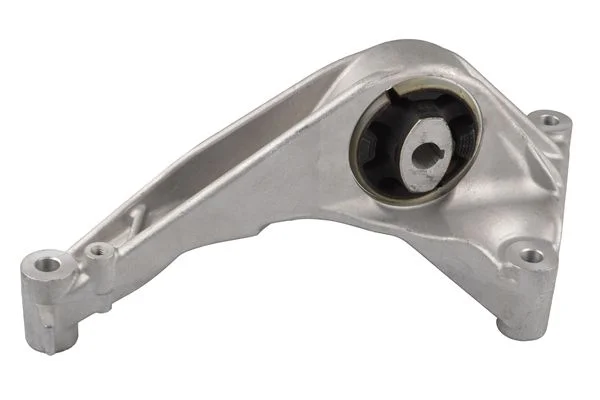 Variklio montavimas TEDGUM TED33938