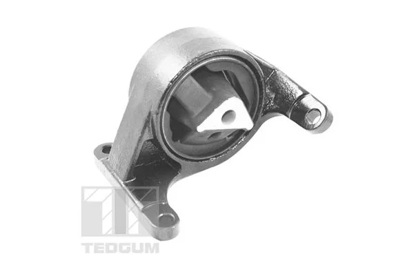 Variklio montavimas TEDGUM TED37845