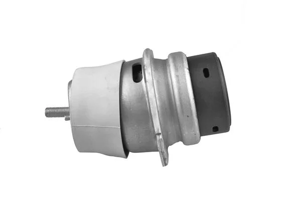 Variklio montavimas TEDGUM TED38149