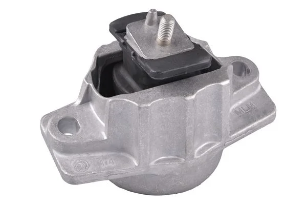 Variklio montavimas TEDGUM TED39099