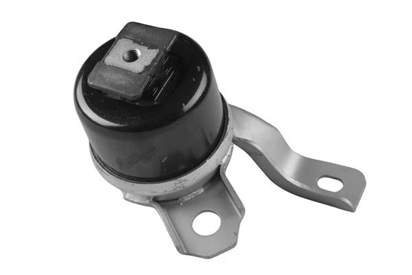 Variklio montavimas TEDGUM TED40730