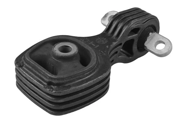 Variklio montavimas TEDGUM PSA TED40760
