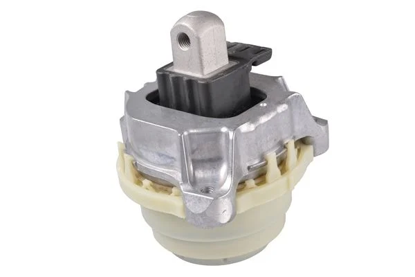 Variklio montavimas TEDGUM TED43714