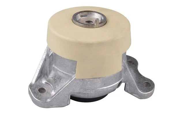 Variklio montavimas TEDGUM TED44364