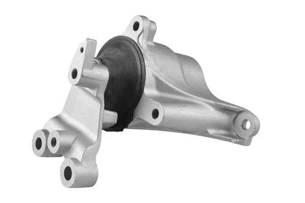 Variklio montavimas TEDGUM TED46734
