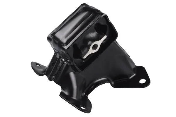 Variklio montavimas TEDGUM PSA TED48157