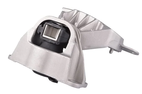 Variklio montavimas TED TED48409