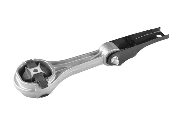 Variklio montavimas TEDGUM TED48830
