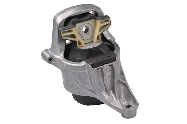 Variklio montavimas TEDGUM PSA TED49188