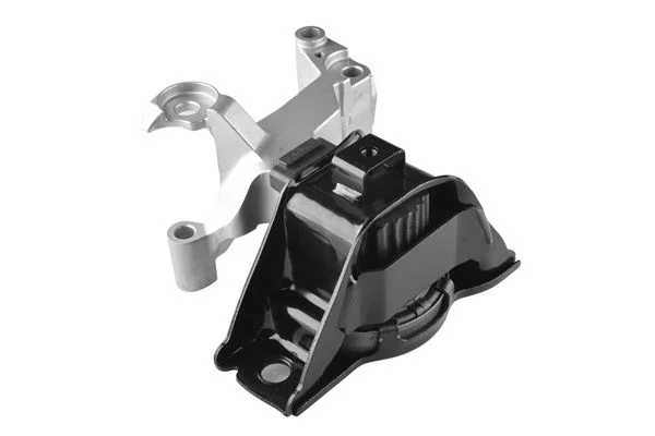 Variklio montavimas TED TED49619