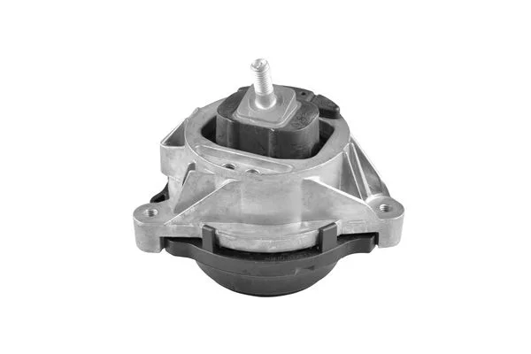 Variklio montavimas TEDGUM TED49670