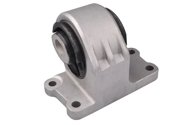 Variklio montavimas TEDGUM PSA TED50262