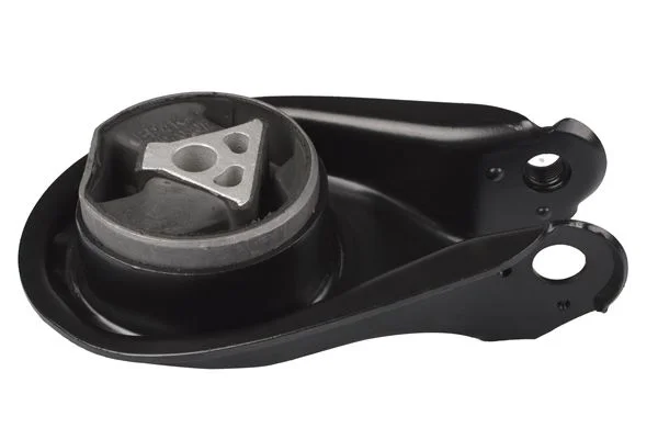 Variklio montavimas TEDGUM TED52037