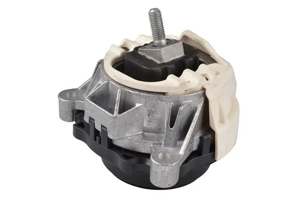 Variklio montavimas TEDGUM TED55453
