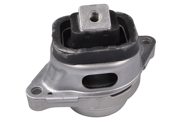 Variklio montavimas TEDGUM PSA TED56443