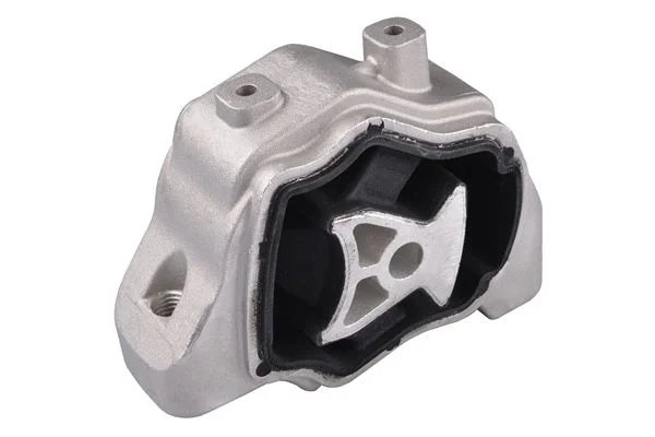 Variklio montavimas TEDGUM TED57638