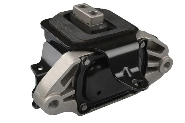 Variklio montavimas TEDGUM PSA TED58993