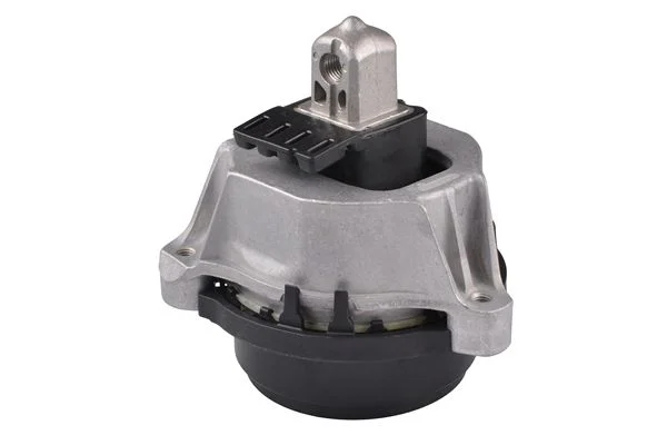 Variklio montavimas TEDGUM PSA TED59560