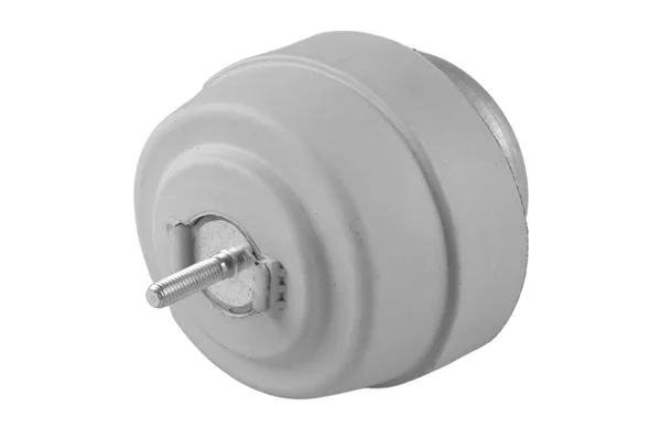 Variklio montavimas TEDGUM TED64147