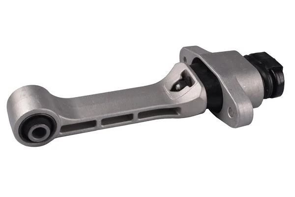 Variklio montavimas TEDGUM TED69601