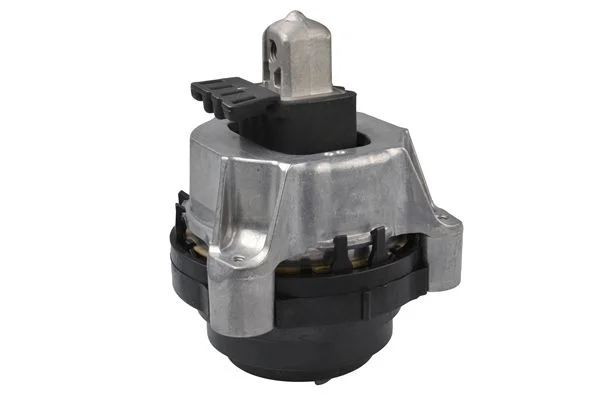 Variklio montavimas TEDGUM PSA TED72231