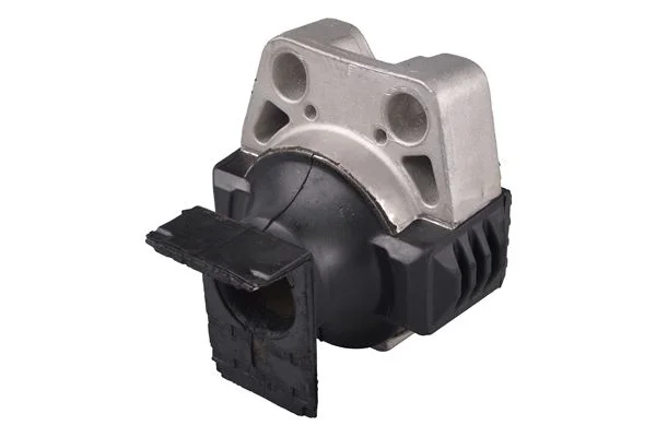 Variklio montavimas TEDGUM PSA TED75083