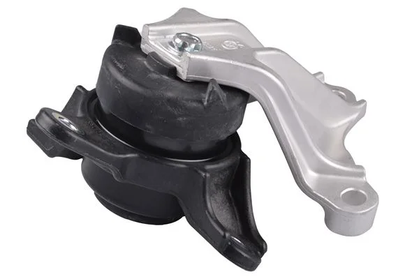 Variklio montavimas TEDGUM PSA TED79880