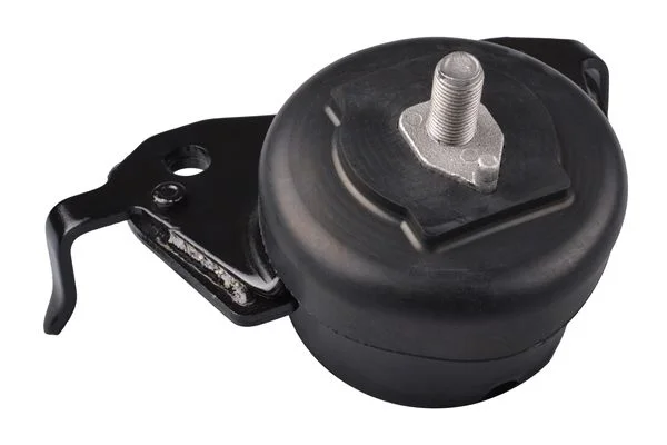 Variklio montavimas TEDGUM TED80672