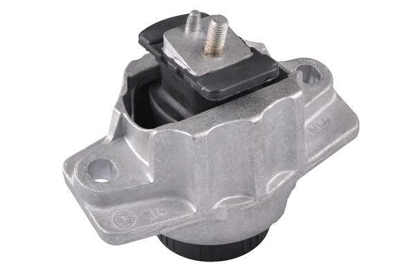 Variklio montavimas TEDGUM TED84327