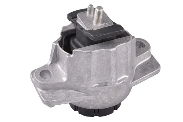 Variklio montavimas TEDGUM TED84722