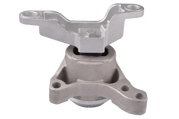 Variklio montavimas TEDGUM TED87085