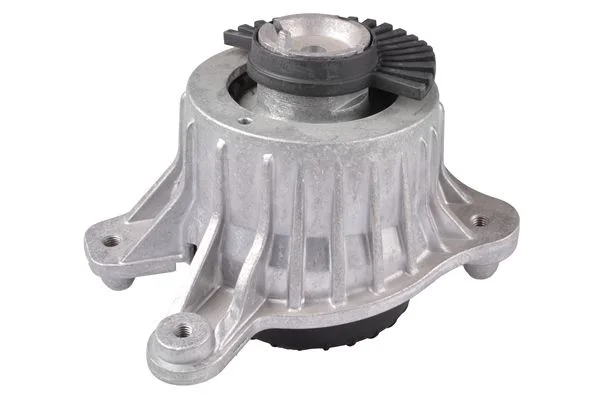 Variklio montavimas TEDGUM TED88856