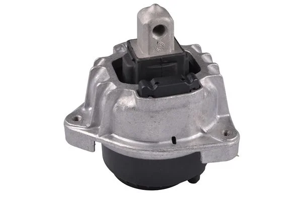 Variklio montavimas TEDGUM PSA TED90783