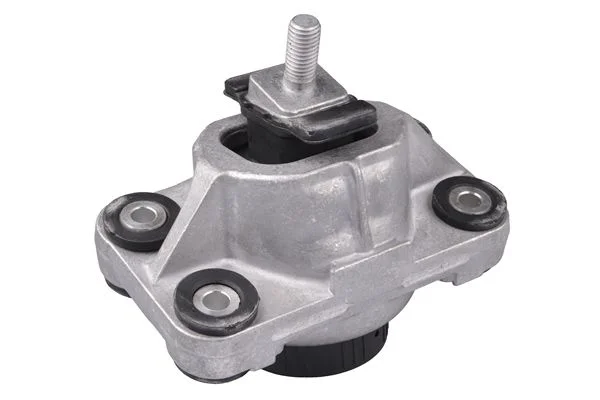 Variklio montavimas TEDGUM PSA TED91978