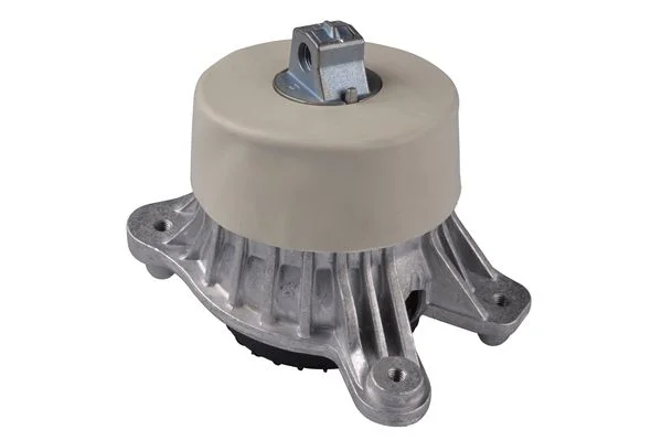 Variklio montavimas TEDGUM TED92540