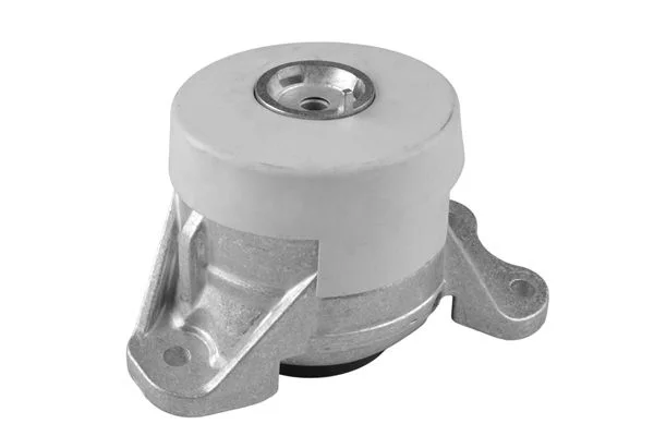 Variklio montavimas TEDGUM TED93160