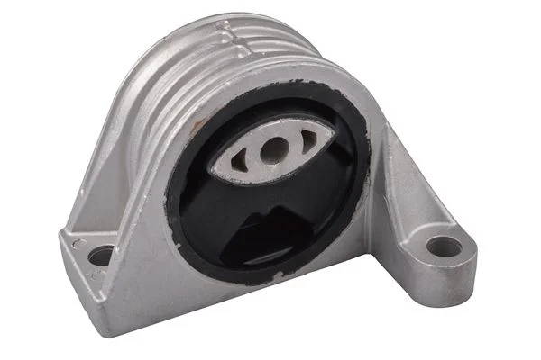 Variklio montavimas TEDGUM TED93856