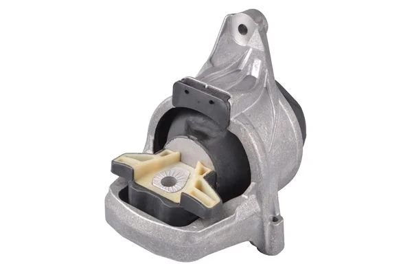 Variklio montavimas TEDGUM PSA TED94132