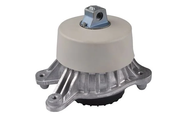 Variklio montavimas TEDGUM PSA TED94878