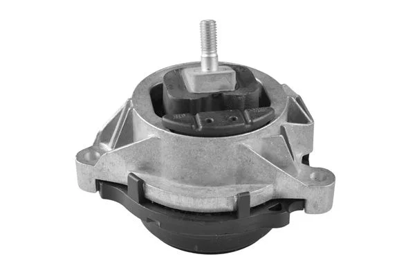 Variklio montavimas TEDGUM TED97586