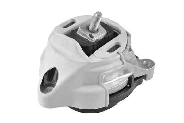 Variklio montavimas TEDGUM TED97955
